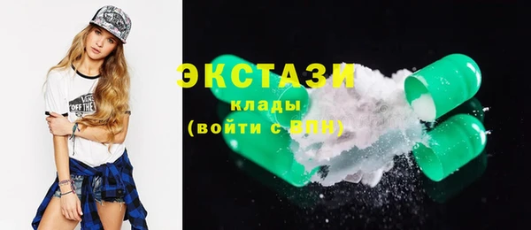 гидра Богородицк