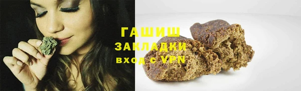 гидра Богородицк
