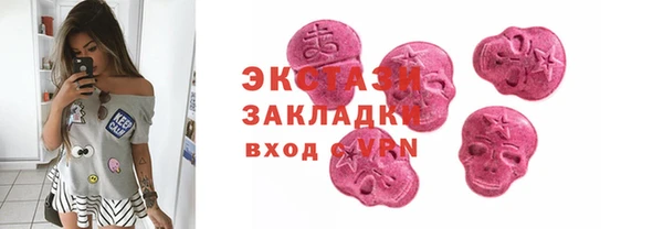 гидра Богородицк