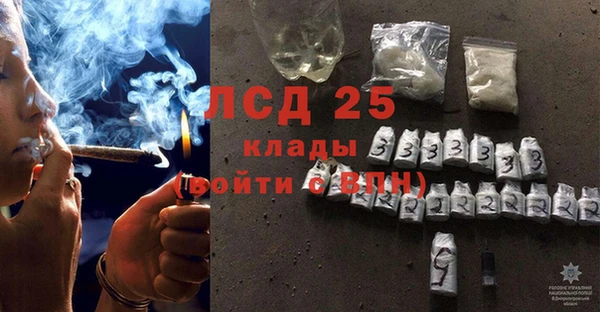 гидра Богородицк