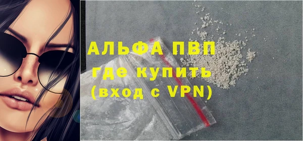 гидра Богородицк