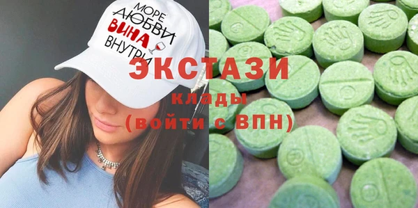 гидра Богородицк