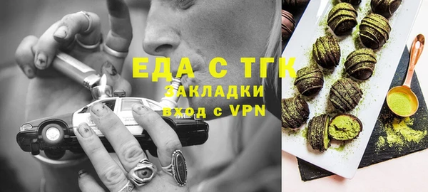 гидра Богородицк
