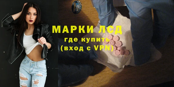 гидра Богородицк