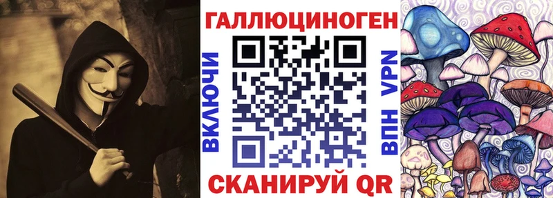 цены наркотик  Черноголовка  Псилоцибиновые грибы Psilocybine cubensis 